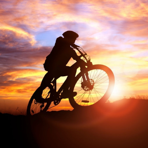 Health Benefits of Mountain Biking