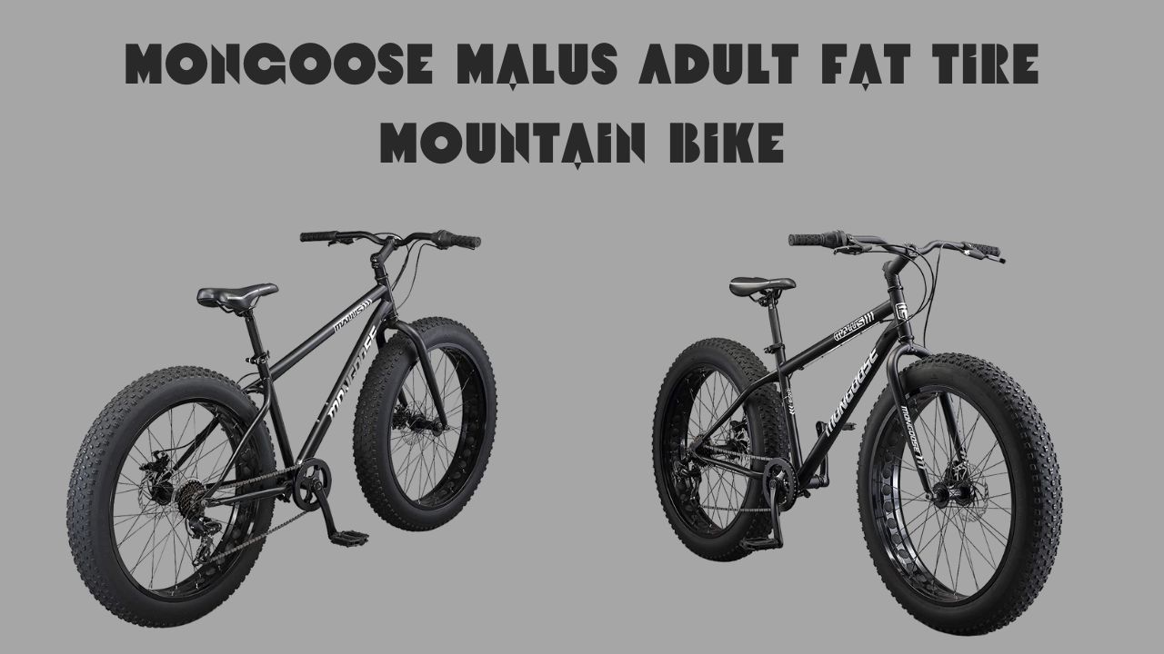 kross globate cycle price